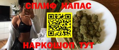 сатива Пенза