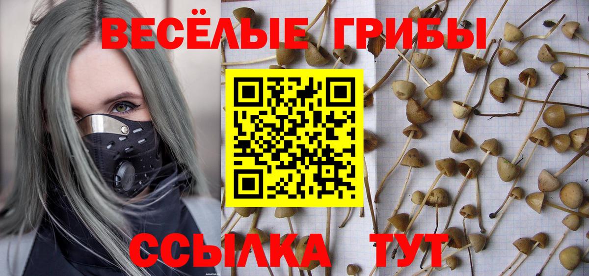 Галлюциногенные грибы мицелий  Вход с VPN  Пыть-Ях 