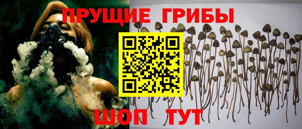Галлюциногенные грибы прущие грибы Пыть-Ях